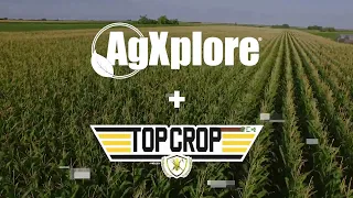 AGX + Top Crop