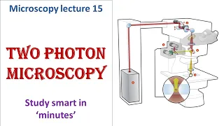 Two Photon microscope | working principle | Advantages, disadvantages | Microscopy lecture 15