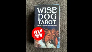 Wise Dog Tarot - a tarot deck flip thru