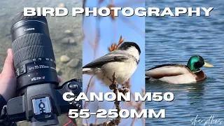 Canon M50 Nature Photo Walk - 55-250mm