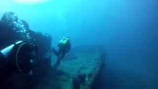 SHARK!!!  On The Duane wreck in Key Largo