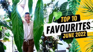 TOP 10 FAVOURTE PLANTS 💚| JUNE 2022 | Monstera, Anthurium, Syngonium, Hoya, & MORE 😍