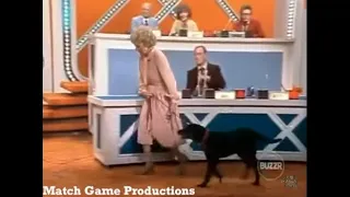 Match Game PM (Episode 201) (Meet Trotter: Gene's Daughter Lynn's Dog) (GOLD STAR EPISODE)