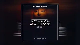 Pascal Junior x Olivia Addams - Scrisori In Minor | Remix