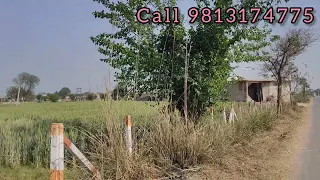 1.75 Acres Land Parcels For Sale Sohna Tauru Bhiwadi Highway (Sunari) 9813174775