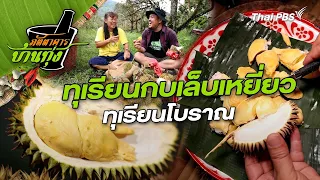 ทุเรียนกบเล็บเหยี่ยว | ภัตตาคารบ้านทุ่ง