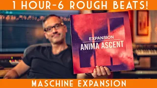 Anima Ascent-1 hour=6 Rough Beats!-New Maschine Expansion