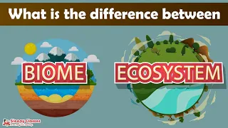 Difference Between BIOME AND ECOSYSTEM