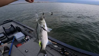 So many ways to catch summer time off shore Striped Bass Hybrids - OOW Outdoors