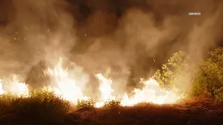 2-Acre Brush Fire Burns in Sepulveda Basin