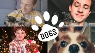 Charlie Puth with dogs! (Compilation)