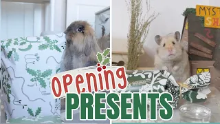 My Pets Open Christmas Presents!