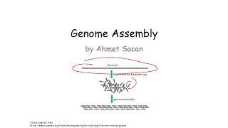 Genome Assembly