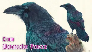 Crow Painting in Watercolor (Real time on Patreon 7hrs)