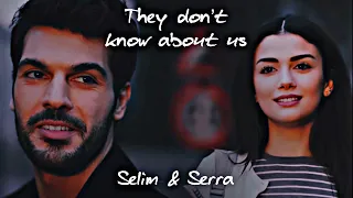 Selim & Serra • They don’t know about us • Sol yanim