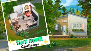 Can we build a house with 10,000 Simoleons? | Tiny House Challenge!