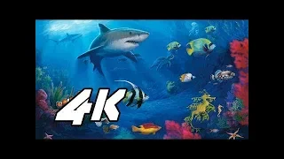 4k sony demo aquarium video for sleep relaxation