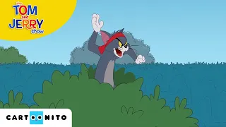 Tom ve Jerry | Kıymık | Cartoonito Türkiye