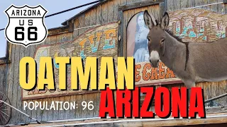 ROUTE 66 ☀️🌵 and the WILD Burros - OATMAN Arizona