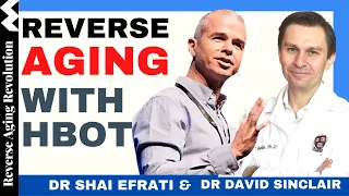 DAVID SINCLAIR "Reverse Aging With HBOT" | Dr David Sinclair & Dr Shai Efrati Interview Clips