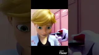 Память о ней #ledybug #miraculous #shortsvideo