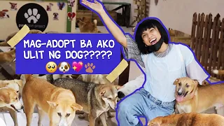 BIRTHDAY SALUBONG KO SA ANIMAL SHELTER! | MIMIYUUUH