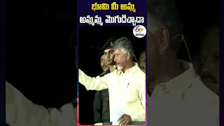 భూమి మీ అమ్మ,  అమ్మమ్మ మొగుడిచ్చాడా - చంద్రబాబు