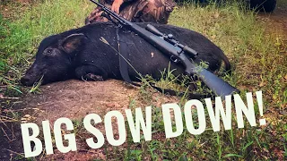 Must watch! Slow motion head shot on large hog! (Stalking the Florida swamps)