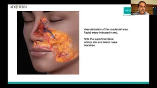 Webinar Lips volume and periorbital enhancement talk ( part 1 )