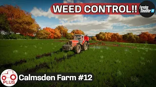 Spot Spraying Weeds With Herbicide & Building Greenhouses - Calmsden Farm #12 FS22 Let's Play