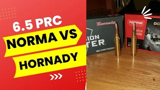 Winchester XPR 6.5 PRC and the Norma vs Hornady showdown!