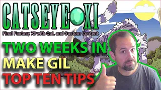 Top Ten Tips For Early - Crystal Warrior - Game Mode - Cat's Eye Server - Final Fantasy XI - FFXI