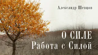 Дееспособность речи. Сила ума. Пруга | Александр Шевцов