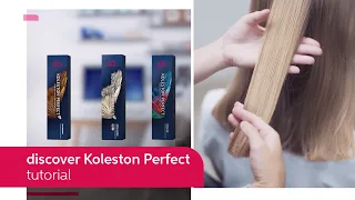 Everything You Need to Know About Koleston Perfect | Wella Professionals