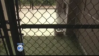 Hawaiian Humane Society shelter empty temporarily, all pets adopted