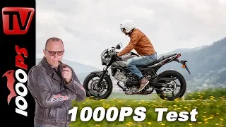 Suzuki SV650X Test - Retrobike 2018 Vergleich