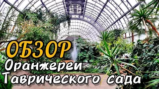 ОБЗОР ОРАНЖЕРЕИ Таврического сада в Санкт Петербурге 2022