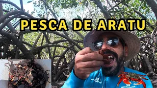 Capturando e cozinhando Aratu no mangue [ Pesca em Porto de Galinhas e Maracaípe ]