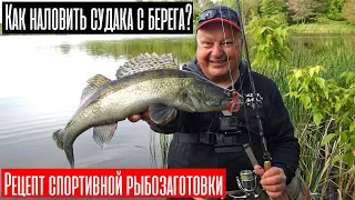 Как наловить судака с берега? | Рецепт спортивной рыбозаготовки с Crazy Fish Arion 862 MLS