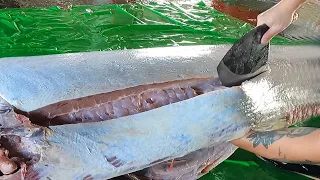 Monster Fish - Giant Marlin cutting master旗魚切割大師