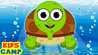 The Turtle Song + more Songs for Kids and Nursery Rhymes by KidsCamp