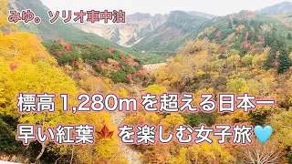 【ソリオ女子】日本一早い紅葉🍁🍂を楽しむ女子旅が絶景すぎた💛The best view in Japan