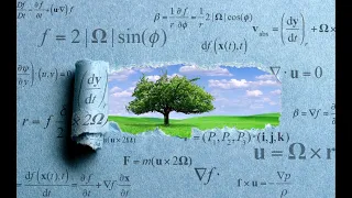 Does Math Reveal Reality?