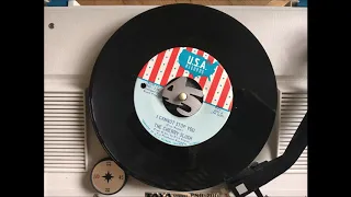 The Cherry Slush - I cannot stop you (60'S GARAGE FUZZ ROCKER)