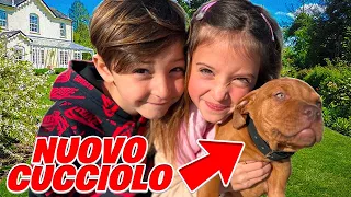 MAMMAGIULIA E FIGLIACHIARA VANNO A SCEGLIERE UN NUOVO CUCCIOLO DI CANE PER FIGLIODIEGO!