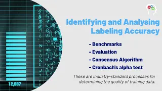 Data Labeling Quality Assurance in Machine Learning