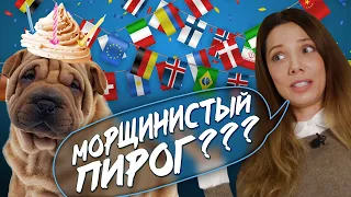 5 необычных ДЕСЕРТОВ народов МИРА🌎