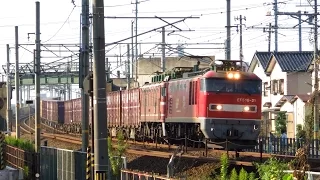 貨物列車 EF510 21号機［富］+ﾑﾄﾞ EF81 726号機［富］ 4081レ 日本海縦貫線（北陸本線）高速通過　福井～森田（開発踏切）