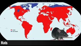 Where do animals live (showed on maps)