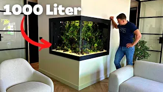 THIS 1000 LITER PLANTED AQUARIUM WILL BLOW YOUR MIND! BIG CUSTOMER PROJECT